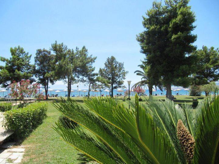 Nafsika Beach Delphi-Итеа Экстерьер фото